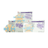 3M Tegaderm™ Silicone Foam Dressing