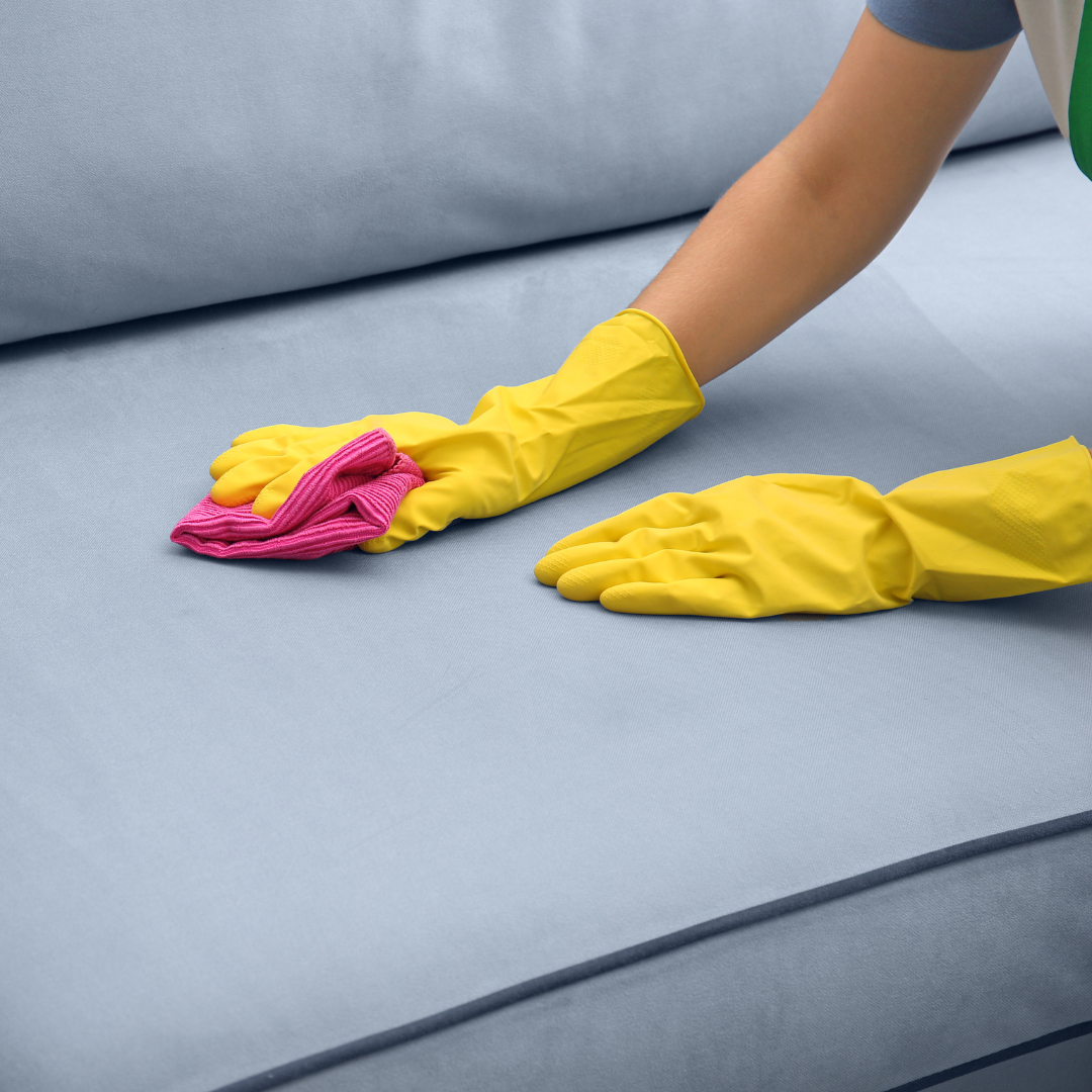 hands wearing rummer gloves, cleaning a stain on a sofa